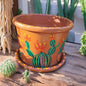Cache pot "Cactus méga color"